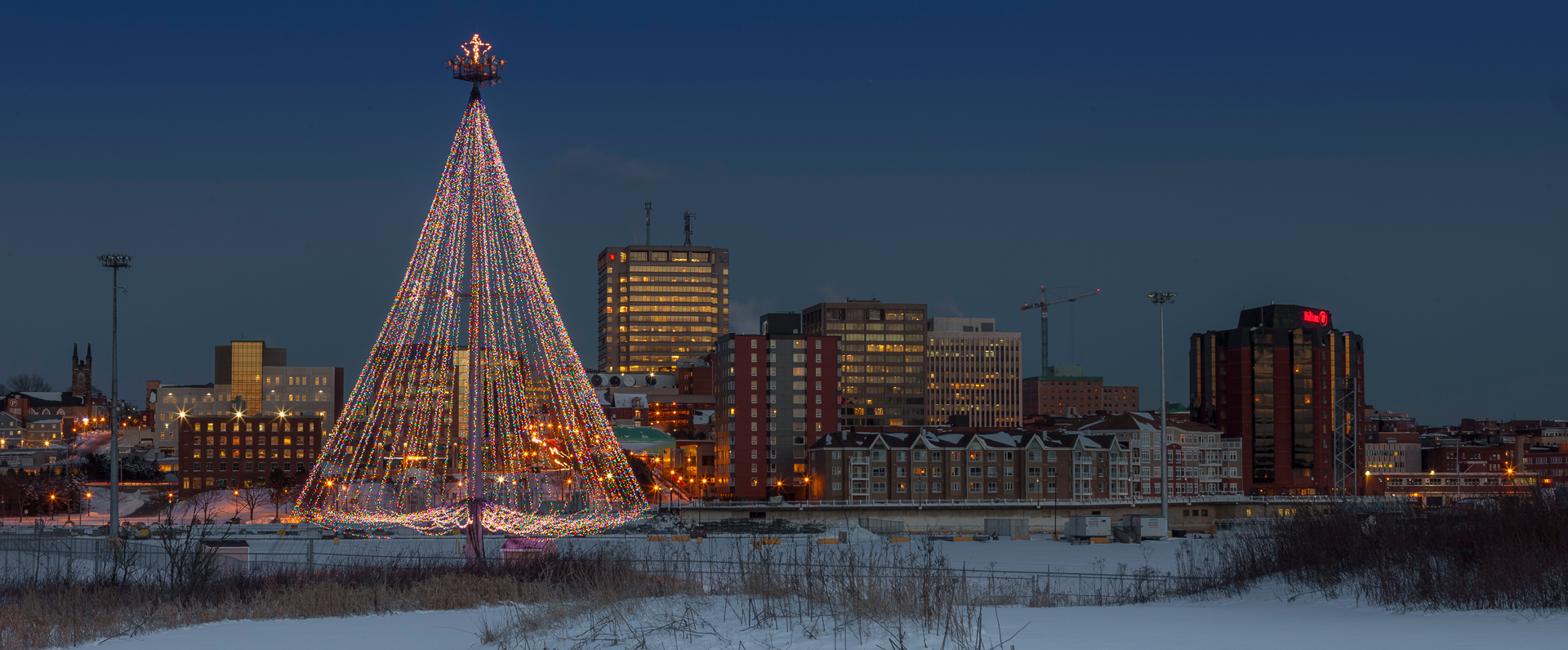 Saint John Harbour Lights Tree